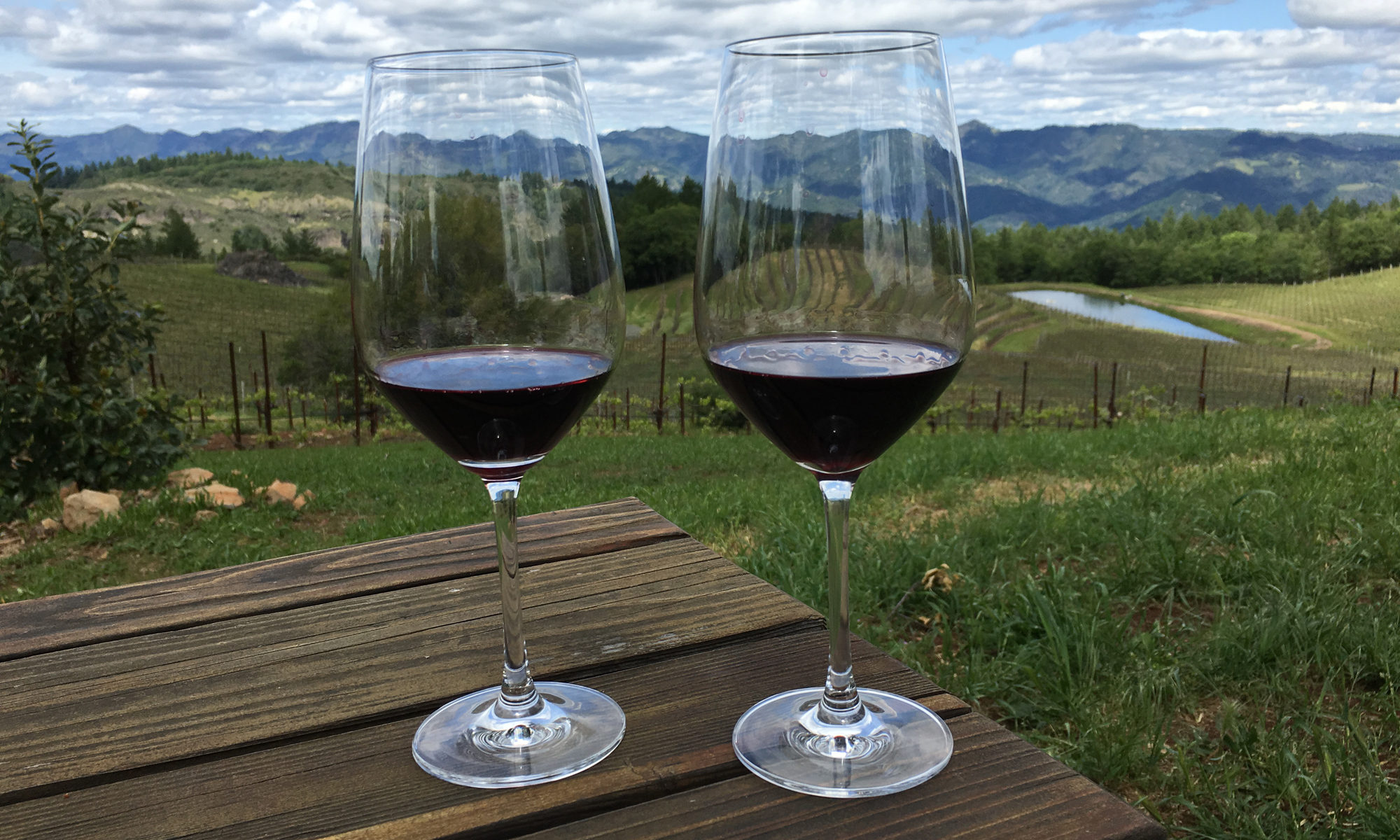 The PDX Blogger - Willamette Valley Pinot Noirs