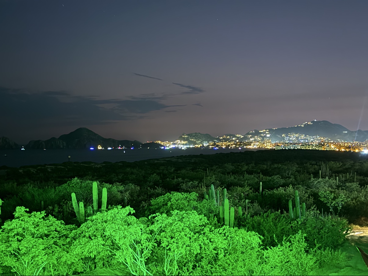 The bay after dark, from the terrace side.
